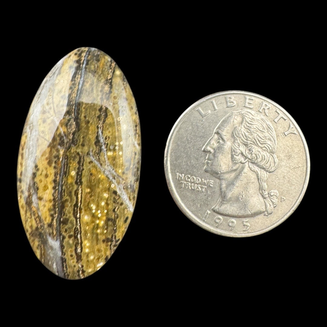 Ocean Jasper | Cobble Creek Mining Co.